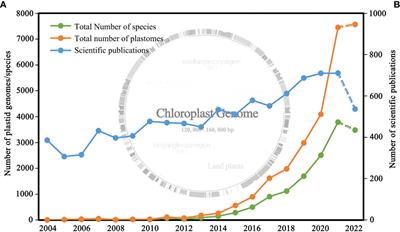 Untying the Gordian knot of plastid phylogenomic conflict: A case from ferns